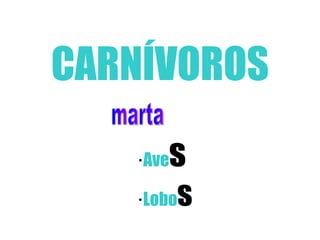 CARNÍVOROS ·  Ave s ·  Lobo s marta 