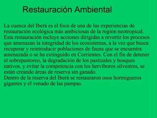 Restauración Ambiental La cuenca del Iberá es el foco de una de las experiencias de restauración ecológica más ambiciosas de la región neotropical. Esta restauración incluye acciones dirigidas a revertir los procesos que amenazan la integridad de los ecosistemas, a la vez que busca recuperar y reintroducir poblaciones de fauna que se encuentra amenazada o se ha extinguido en Corrientes. Con el fin de detener el sobrepastoreo, la degradación de los pastizales y bosques nativos, y evitar la competencia con los hervíboros silvestres, se están creando áreas de reserva sin ganado. Dentro de la reserva del Iberá se restauraron osos hormigueros gigantes y el venado de las pampas. 
