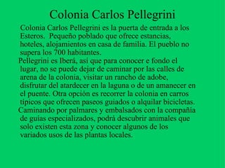 Colonia Carlos Pellegrini Colonia Carlos Pellegrini es la puerta de entrada a los Esteros.  Pequeño poblado que ofrece estancias, hoteles, alojamientos en casa de familia. El pueblo no supera los 700 habitantes. Pellegrini es Iberá, así que para conocer e fondo el lugar, no se puede dejar de caminar por las calles de arena de la colonia, visitar un rancho de adobe, disfrutar del atardecer en la laguna o de un amanecer en el puente. Otra opción es recorrer la colonia en carros típicos que ofrecen paseos guiados o alquilar bicicletas. Caminando por palmares y embalsados con la compañía de guías especializados, podrá descubrir animales que solo existen esta zona y conocer algunos de los variados usos de las plantas locales. 