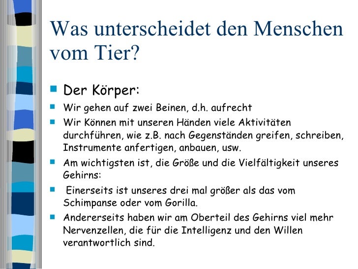 Was Unterscheidet Mensch Vom Tier Ethik 1