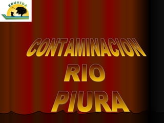 CONTAMINACION RIO PIURA 