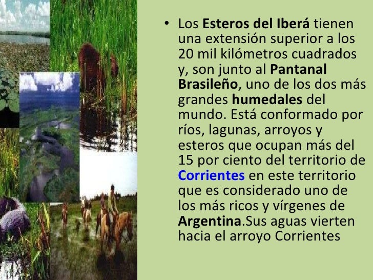 Esteros del Iberá