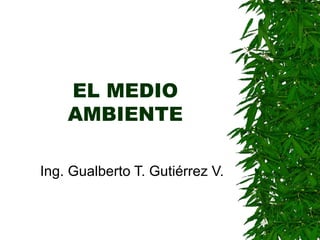 EL MEDIO AMBIENTE Ing. Gualberto T. Gutiérrez V. 