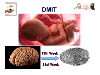 DMIT
13th Week13th Week
21st Week21st Week
 