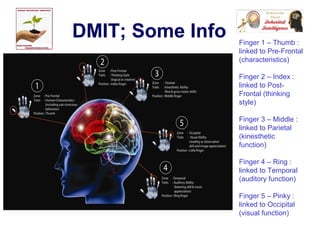DMIT; Some Info Finger 1 – Thumb :
linked to Pre-Frontal
(characteristics)
Finger 2 – Index :
linked to Post-
Frontal (thinking
style)
Finger 3 – Middle :
linked to Parietal
(kinesthetic
function)
Finger 4 – Ring :
linked to Temporal
(auditory function)
Finger 5 – Pinky :
linked to Occipital
(visual function)
 