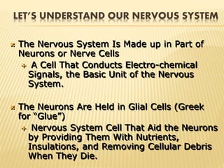 LET’S UNDERSTAND OUR NERVOUS SYSTEM
 The Nervous System Is Made up in Part of
Neurons or Nerve Cells
 A Cell That Conducts Electro-chemical
Signals, the Basic Unit of the Nervous
System.
 The Neurons Are Held in Glial Cells (Greek
for “Glue”)
 Nervous System Cell That Aid the Neurons
by Providing Them With Nutrients,
Insulations, and Removing Cellular Debris
When They Die.
 