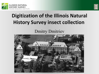 Digitization of the Illinois Natural
History Survey insect collection
Dmitry Dmitriev

INHS Image Archive

 