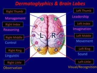 DMIT (Dermatoglyphics Multiple Intelligence Test) | PPTX