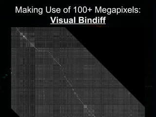 Making Use of 100+ Megapixels:
Visual Bindiff
 