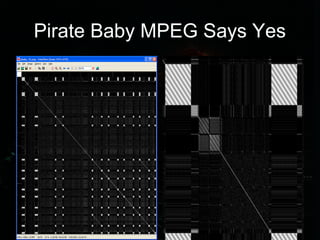 Pirate Baby MPEG Says Yes
 