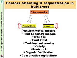 Carbon Sequestration Potential of Perrenial Fruit Trees | PPT