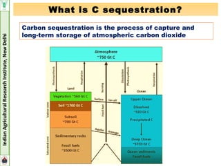 Carbon Sequestration Potential of Perrenial Fruit Trees | PPT