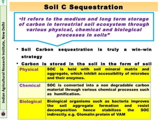 Carbon Sequestration Potential of Perrenial Fruit Trees | PPT