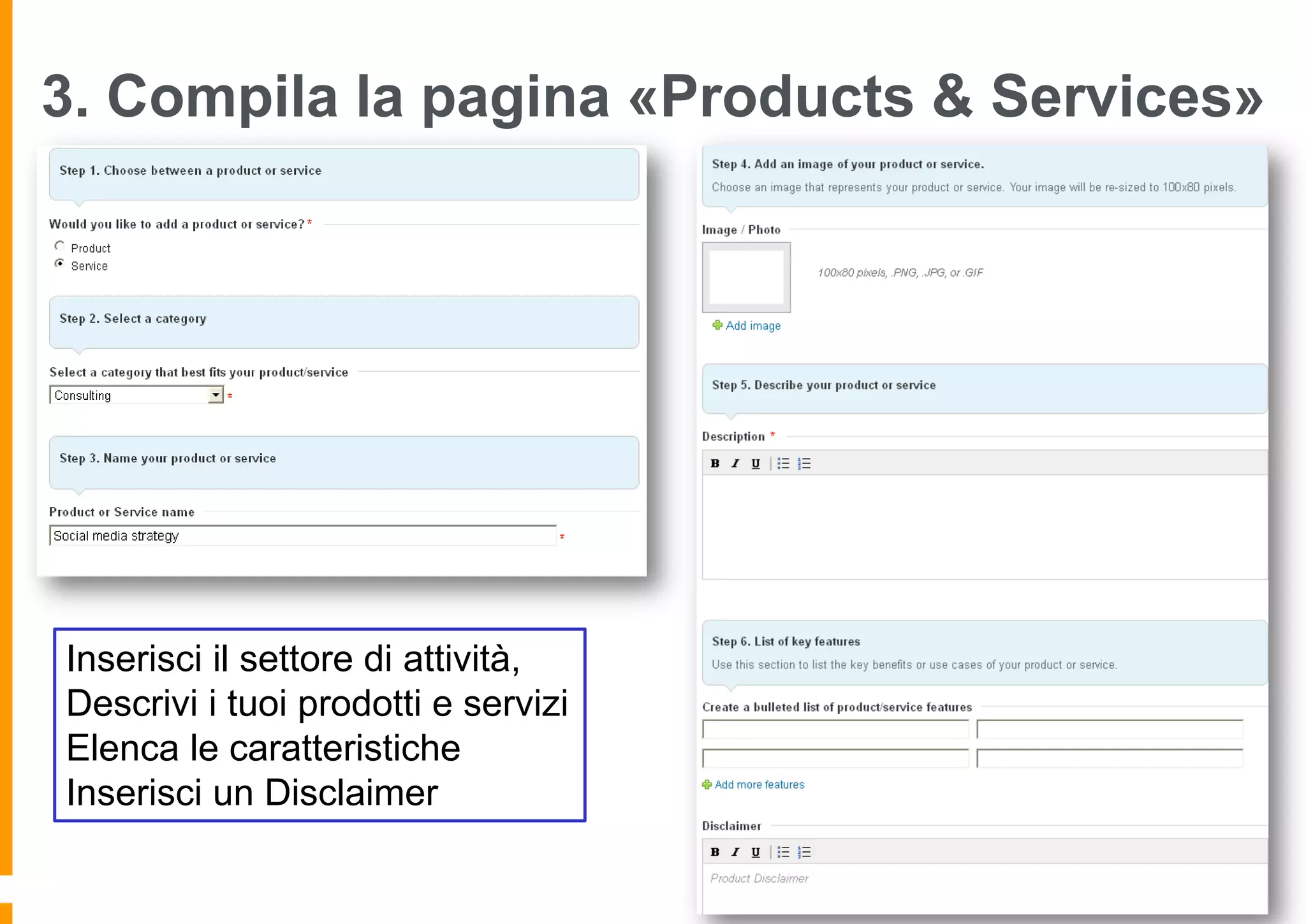 3. Compila la pagina «Products & Services»

Inserisci il settore di attività,
Descrivi i tuoi prodotti e servizi
Elenca le caratteristiche
Inserisci un Disclaimer

 
