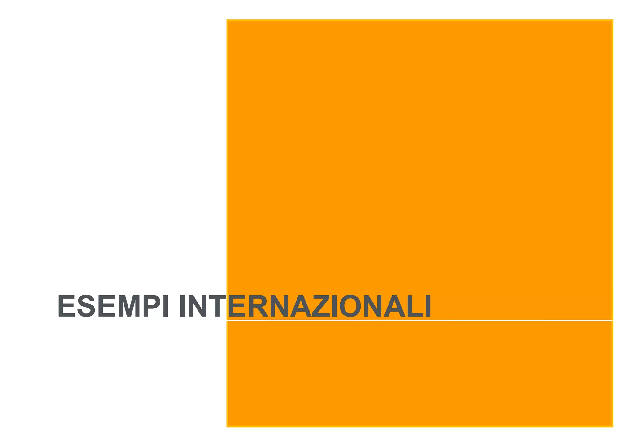ESEMPI INTERNAZIONALI

 