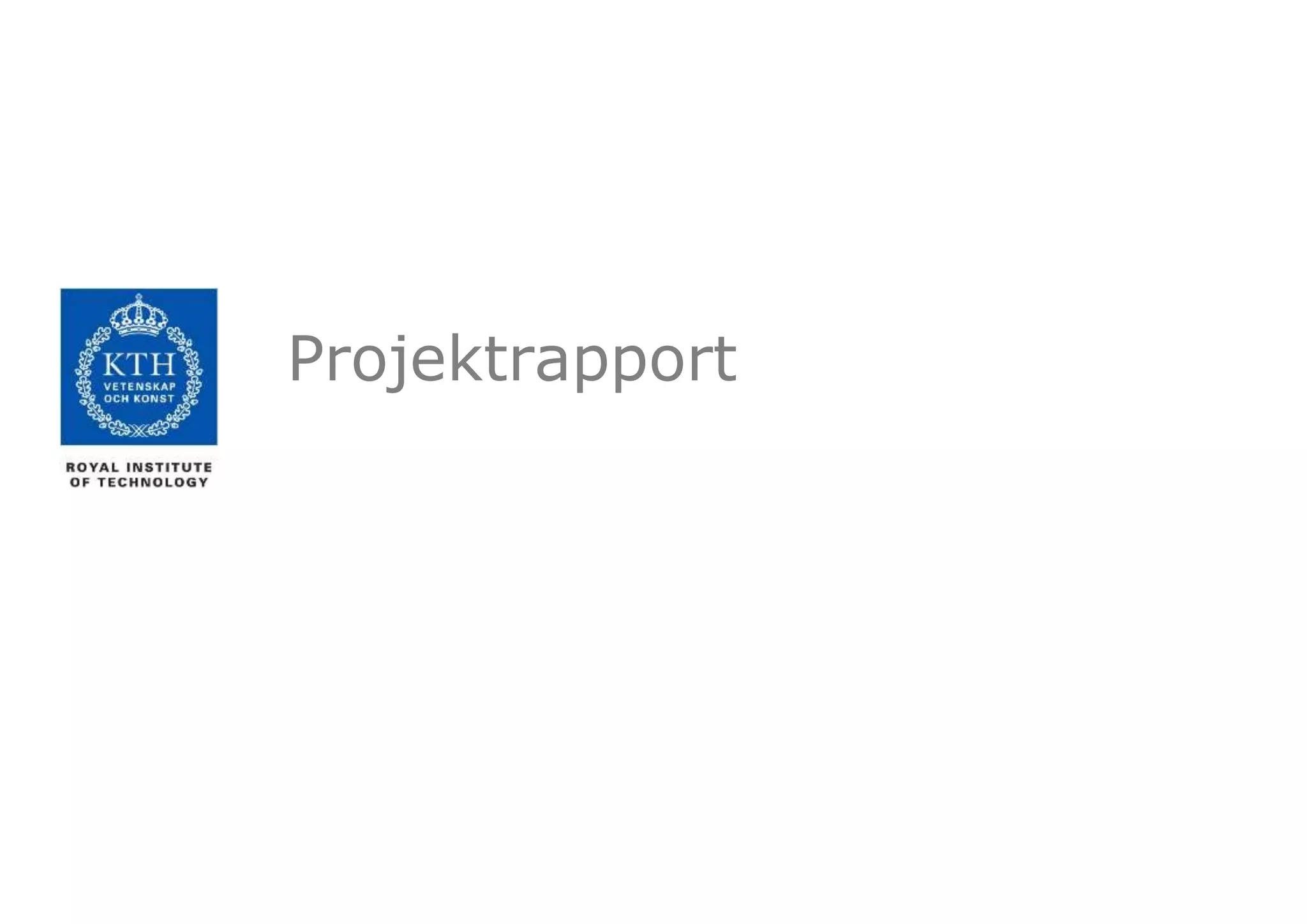 Projektrapport
 