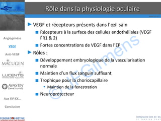 Rôle dans la physiologie oculaire VEGF et récepteurs présents dans l’œil sain Récepteurs à la surface des cellules endothéliales (VEGF FR1 & 2) Fortes concentrations de VEGF dans l’EP Rôles : Développement embryologique de la vascularisation normale Maintien d’un flux sanguin suffisant Trophique pour la choriocapillaire Maintien de la fenestration Neuroprotecteur Angiogénèse VEGF Anti-VEGF Aux XV-XX… Conclusion 