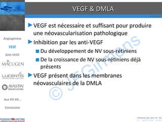 VEGF & DMLA VEGF est nécessaire et suffisant pour produire une néovascularisation pathologique Inhibition par les anti-VEGF Du développement de NV sous-rétiniens De la croissance de NV sous-rétiniens déjà présents VEGF présent dans les membranes néovasculaires de la DMLA Angiogénèse VEGF Anti-VEGF Aux XV-XX… Conclusion 