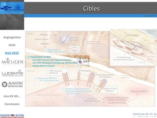 Cibles Angiogénèse VEGF Anti-VEGF Aux XV-XX… Conclusion 