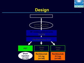 Design Sham PDT Ranibizumab 0.3 mg (n=140) Ranibizumab 0.5 mg (n=140) Lecture centralisée des angiographies NV visibles prédominants (n=423) Randomisation 1:1:1 PDT Sham PDT Sham injection (n=143) Screening 