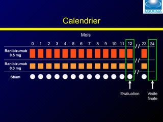 Calendrier Mois Ranibizumab 0.5 mg  Sham  0 1 2 3 4 5 6 7 8 9 10 11 12 23 24 Visite finale Evaluation Ranibizumab 0.3 mg  