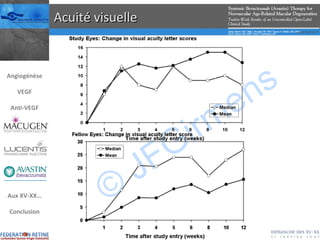 Acuité visuelle Angiogénèse VEGF Anti-VEGF Aux XV-XX… Conclusion 