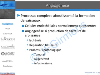 Angiogénèse Processus complexe aboutissant à la formation de vaisseaux Cellules endothéliales normalement quiescentes Angiogenèse si production de facteurs de croissance Ischémie Réparation tissulaire Processus pathologique Tumoral Dégénératif inflammatoire Angiogénèse VEGF Anti-VEGF Aux XV-XX… Conclusion 