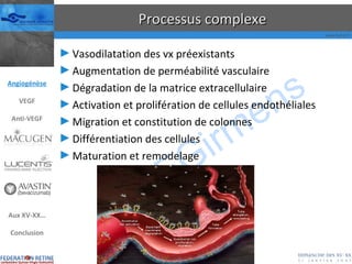 Processus complexe Vasodilatation des vx préexistants Augmentation de perméabilité vasculaire Dégradation de la matrice extracellulaire Activation et prolifération de cellules endothéliales Migration et constitution de colonnes Différentiation des cellules Maturation et remodelage Angiogénèse VEGF Anti-VEGF Aux XV-XX… Conclusion 