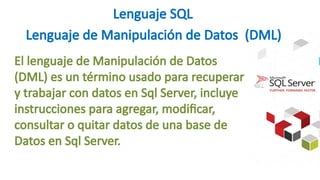 DML Insert Introduccion en sql server 2012.pptx