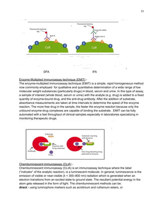 Ifa Homogenous DMLT (2nd Year) : Immunochemistry - Some basic concepts (U. P. State ...