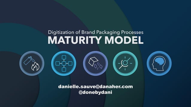 Digital Maturity Model for Brand Packaging | PDF