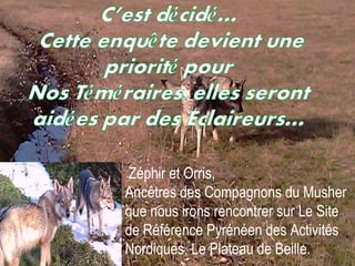 Zéphir et Orris,  Ancêtres des Compagnons du Musher que nous irons rencontrer sur Le Site de Référence Pyrénéen des Activités Nordiques, Le Plateau de Beille.  