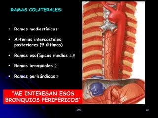 DMO 22
RAMAS COLATERALES:
 Ramas mediastínicas
 Arterias intercostales
posteriores (9 últimas)
 Ramas esofágicas medias
 Ramas bronquiales
 Ramas pericárdicas
“ME INTERESAN ESOS
BRONQUIOS PERIFERICOS”
2
4-5
2
Rama Pericardiofrenica superior
Arteria subcostal - para la C12
 