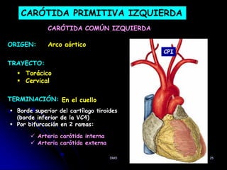 DMO 25
CARÓTIDA PRIMITIVA IZQUIERDA
CARÓTIDA COMÚN IZQUIERDA
ORIGEN:
TRAYECTO:
TERMINACIÓN:
Arco aórtico
 Borde superior del cartílago tiroides
(borde inferior de la VC4)
 Por bifurcación en 2 ramas:
En el cuello
 Arteria carótida interna
 Arteria carótida externa
 Torácico
 Cervical
CPI
 