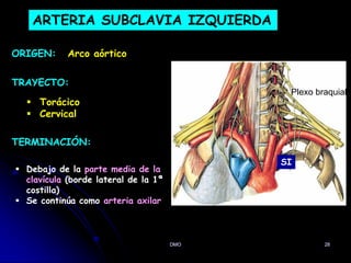 DMO 28
ARTERIA SUBCLAVIA IZQUIERDA
ORIGEN:
TRAYECTO:
TERMINACIÓN:
Arco aórtico
 Torácico
 Cervical
SI
 Debajo de la parte media de la
clavícula (borde lateral de la 1ª
costilla)
 Se continúa como arteria axilar
Plexo braquial
 