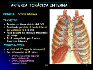 DMO 31
ARTERIA TORÁCICA INTERNA
ORIGEN:
TRAYECTO:
TERMINACIÓN:
Arteria subclavia
 Penetra en tórax detrás del CC1
 Desciende paralela al borde lateral
del esternón (a 1,5 cm).
 Pasa delante del músculo transverso
del tórax
 Está acompañada por 2 venas
torácicas internas
 A nivel del 6º espacio intercostal
 Por bifurcación en 2 ramas:
 arteria epigástrica superior
(rama abdominal)
 arteria musculofrénica
(toracofrénica)
 