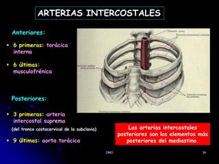 DMO 34
ARTERIAS INTERCOSTALES
Anteriores:
 6 primeras: torácica
interna
 6 últimas:
musculofrénica
Posteriores:
 3 primeras: arteria
intercostal suprema
 9 últimas: aorta torácica
(del tronco costocervical de la subclavia) Las arterias intercostales
posteriores son los elementos más
posteriores del mediastino.
 