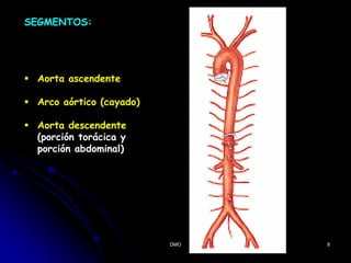 8
 Aorta ascendente
 Arco aórtico (cayado)
 Aorta descendente
(porción torácica y
porción abdominal)
SEGMENTOS:
DMO
 