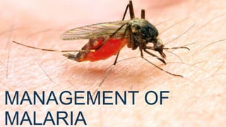 MANAGEMENT OF
MALARIA
 