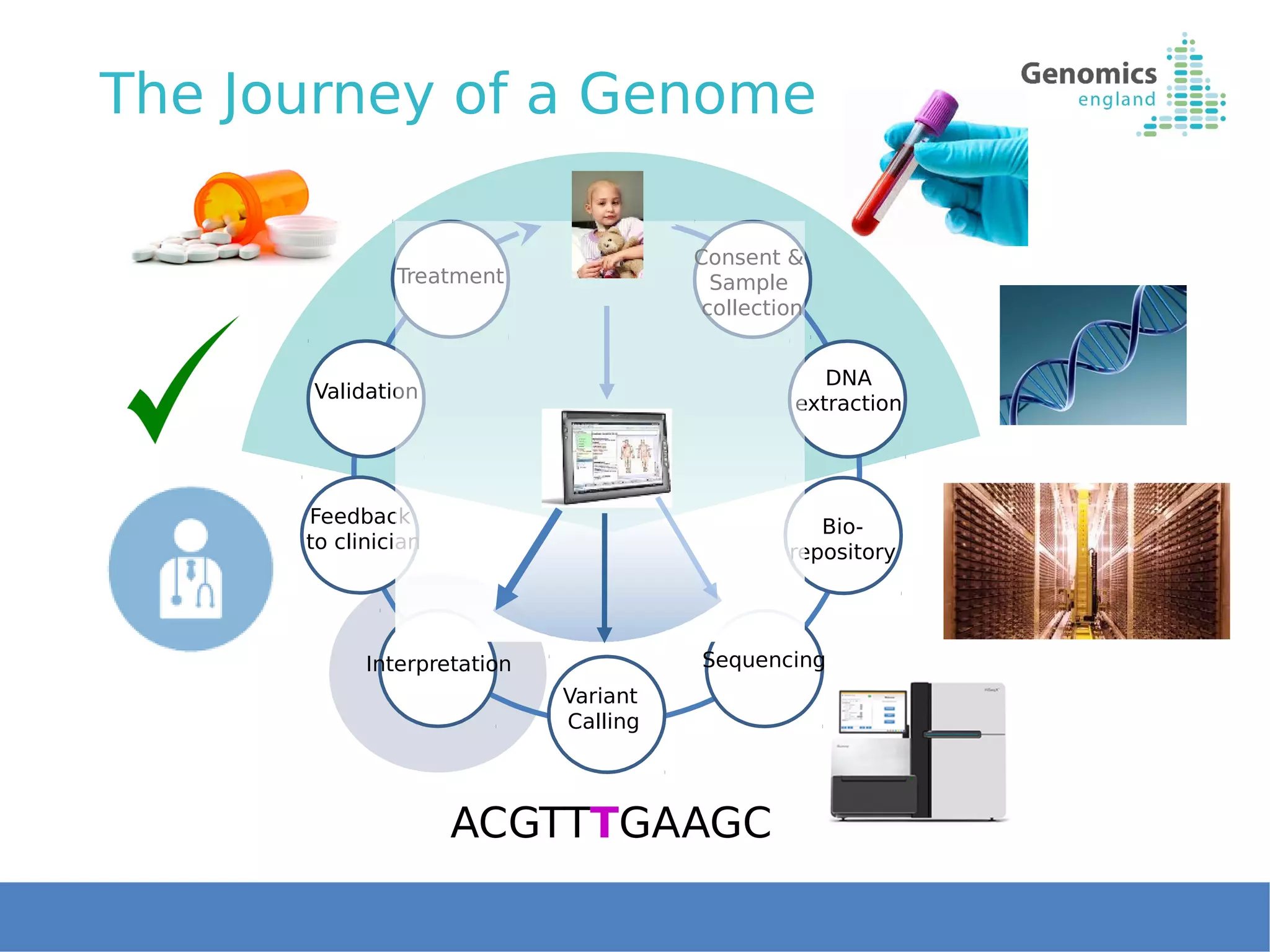 The Journey of a Genome
11
ACGTTTGAAGC
Consent &
Sample
collection
DNA
extraction
Bio-
repository
Sequencing
Variant
Calling
Interpretation
Feedback
to clinician
Validation
Treatment
 