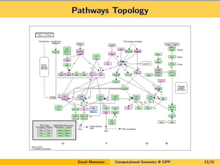 Pathways Topology
David Montaner Computational Genomics @ CIPF 13/15
 