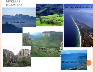 Serra dos órgãos
Chapada
Diamantina: NE
Restinga da Marambaia
Mares de Morros
Serra do Espinhaço Ilha de São Sebastião
DIVERSAS
PAISAGENS
 