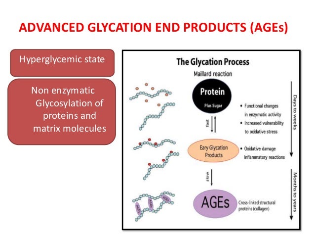 advanced glycation end products age for diabetes Effect of advanced glycation end products (ages) on the body the following tissues are frequently affected by the toxic effect of ages the accumulation of ages can cause kidney disease and kidney failure (renal failure. advanced glycation end products age for diabetes Effect of advanced glycation end products (ages) on the body the following tissues are frequently affected by the toxic effect of ages the accumulation of ages can cause kidney disease and kidney failure (renal failure.
