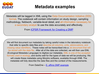 What is a DMP | PPTX