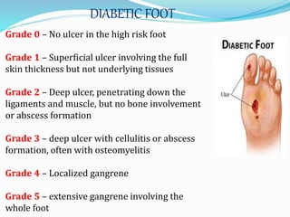 DIABETIC FOOT
Grade 0 – No ulcer in the high risk foot
Grade 1 – Superficial ulcer involving the full
skin thickness but not underlying tissues
Grade 2 – Deep ulcer, penetrating down the
ligaments and muscle, but no bone involvement
or abscess formation
Grade 3 – deep ulcer with cellulitis or abscess
formation, often with osteomyelitis
Grade 4 – Localized gangrene
Grade 5 – extensive gangrene involving the
whole foot
 