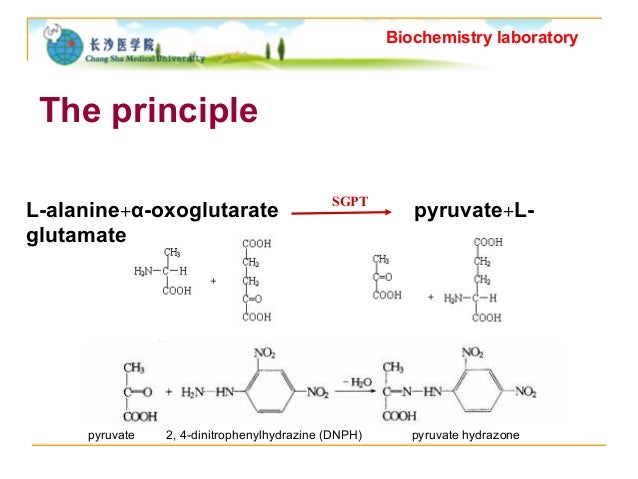 Lecture 7 lecture-7