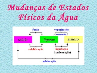 Mudanças de Estados Físicos da Água evaporação 