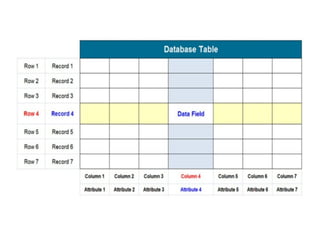 Comprehensive Overview of Relational Data Model and Keys in DBMS | PDF