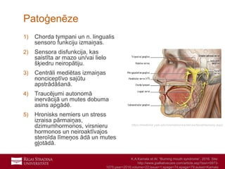 13
1) Chorda tympani un n. lingualis
sensoro funkciju izmaiņas.
2) Sensora disfunkcija, kas
saistīta ar mazo un/vai lielo
šķiedru neiropātiju.
3) Centrāli mediētas izmaiņas
nonciceptīvo sajūtu
apstrādāšanā.
4) Traucējumi autonomā
inervācijā un mutes dobuma
asins apgādē.
5) Hronisks nemiers un stress
izraisa pārmaiņas,
dzimumhormonos, virsnieru
hormonos un neiroaktīvajos
steroīda līmeņos ādā un mutes
gļotādā.
Patoģenēze
https://medicine.yale.edu/cranialnerves/nerves/facial/sensory.aspx
K.A.Kamala et Al. “Burning mouth syndrome”, 2016. Site:
http://www.jpalliativecare.com/article.asp?issn=0973-
1075;year=2016;volume=22;issue=1;spage=74;epage=79;aulast=Kamala
 