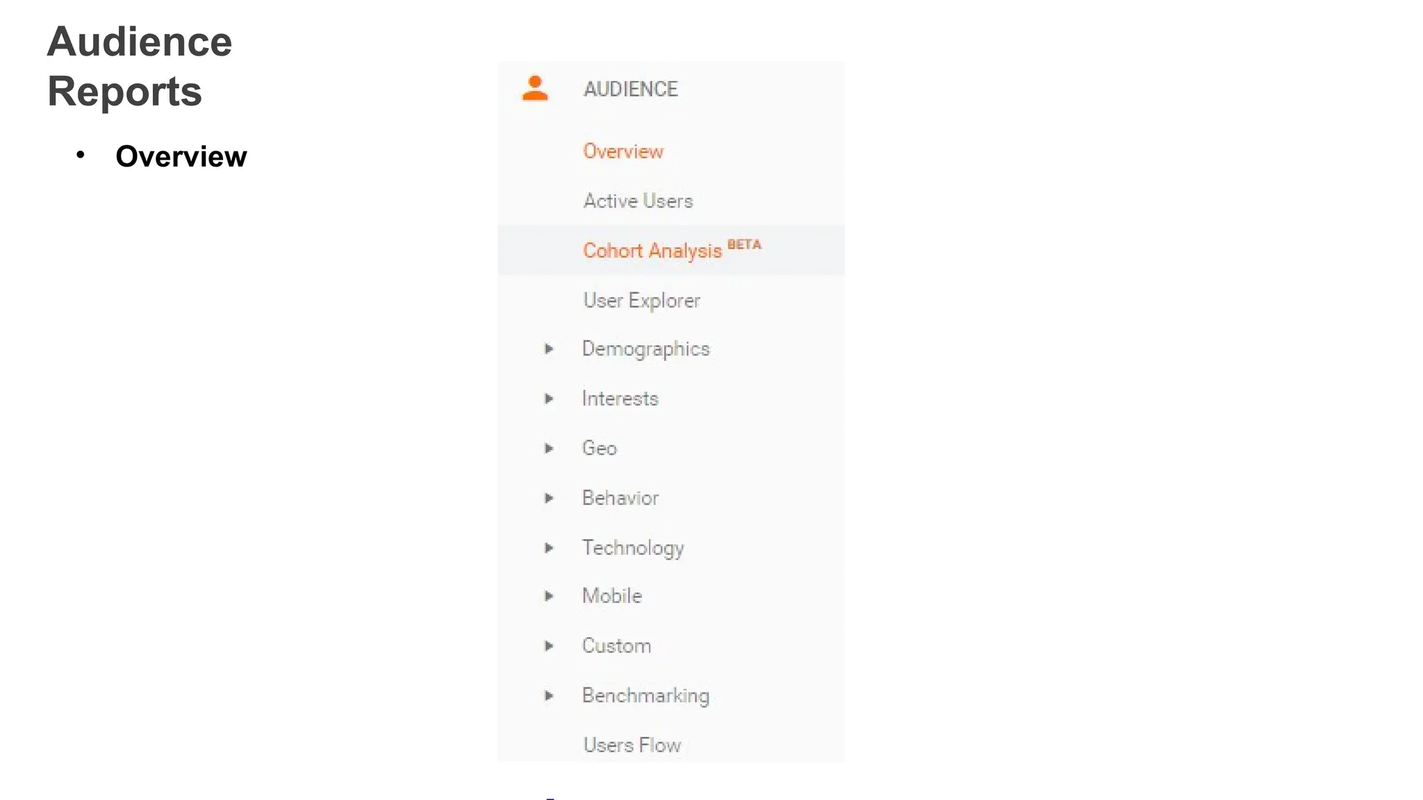 Audience
Reports
• Overview
 
